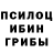 Бошки Шишки ГИДРОПОН Pupa Buba