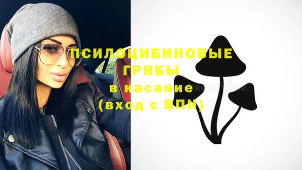 герыч Алексин