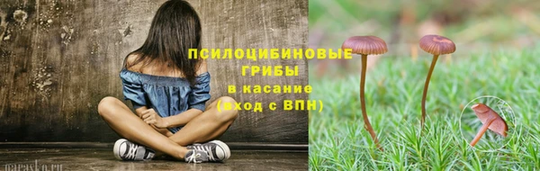 соль ск Алексеевка