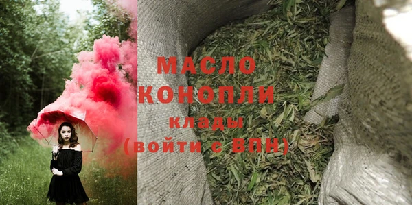 молекула духа Елабуга