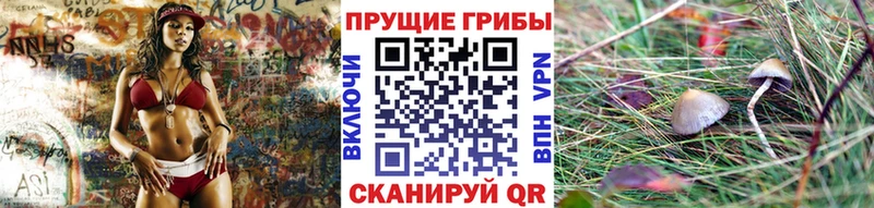 ОМГ ОМГ ссылка  Чадан  Галлюциногенные грибы Psilocybe 